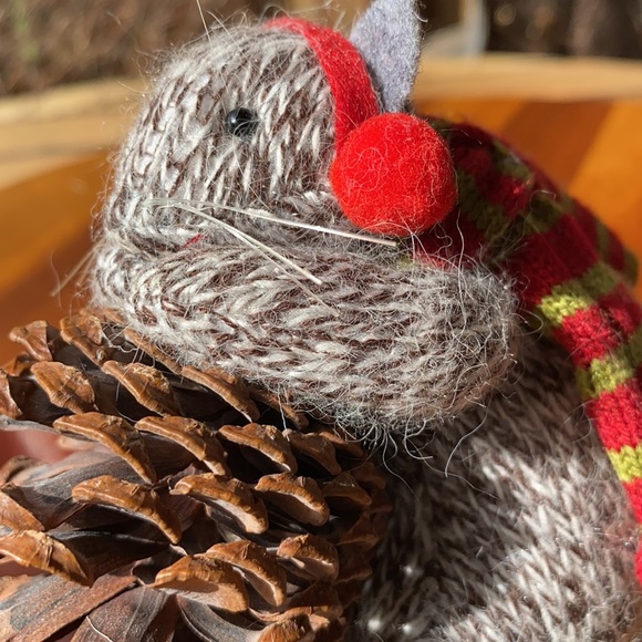 Pottery Barn Knitted Holiday Squirrel Holding a Real Pinecone Ornament🐿 - Picture 3 of 11